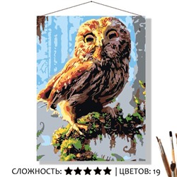 «ДОБРАЯ СОВА»