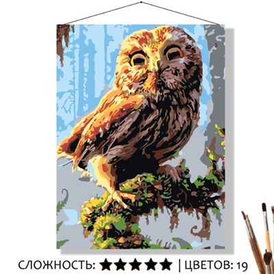 «ДОБРАЯ СОВА»