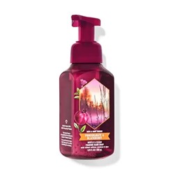 POMEGRANATE & BLACKBERRY Gentle & Clean Foaming Hand Soap