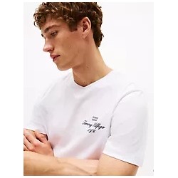 Script Logo T-Shirt