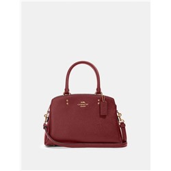 Mini Lillie Carryall