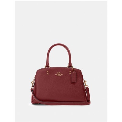 Mini Lillie Carryall