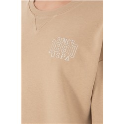 Kadın Kum Bisiklet Yaka Sweatshirt