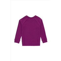 Erkek Çocuk Menekşe Basic Bisiklet Yaka Sweatshirt