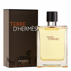 HERMES TERRE DHERMES edt (m) 100ml