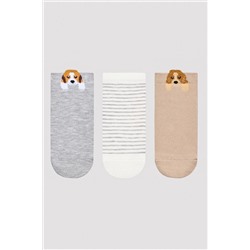Penti, Dog Detail Bej 3lü Patik Çorap