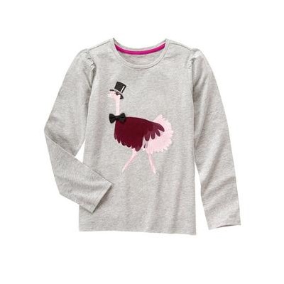 Fancy Ostrich Top