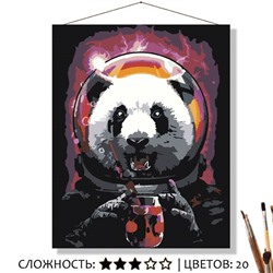 «КОСМО ПАНДА»