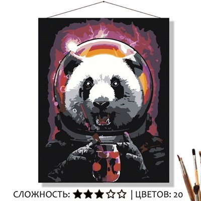 «КОСМО ПАНДА»