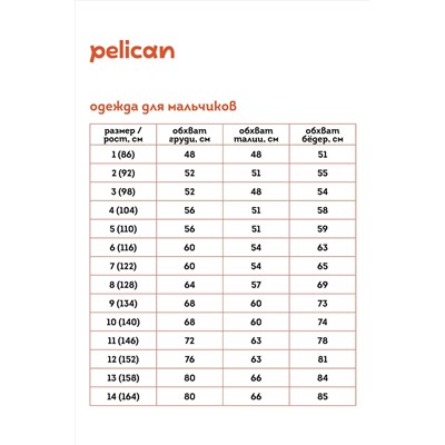 Футболка PELICAN, 1037161