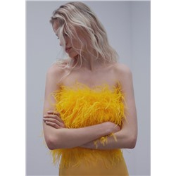 Top estilo bandeau plumas