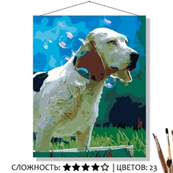 «ПЁС В ТАЗИКЕ»