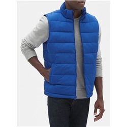 Warmest Vest
