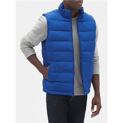 Warmest Vest