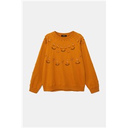 Sudadera felpa bordados