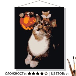 «КОТИК В ТЕМНОТЕ»