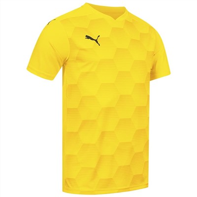 PUMA teamFINAL Graphic Jersey Herren Trikot 704150-07