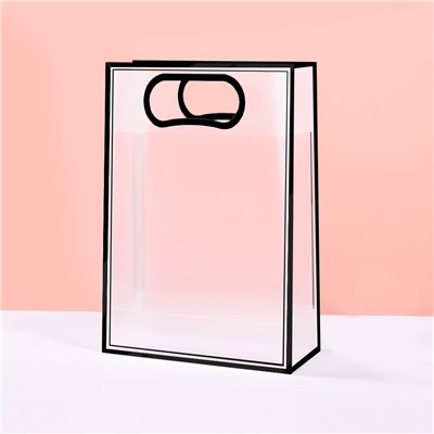 [EVEEPACK] Подарочный пакет PP, прозрачный матовый, черный кант 21x27x11см, 1 шт