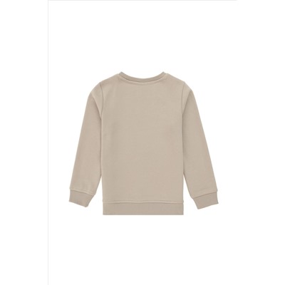 Erkek Çocuk Taş Bisiklet Yaka Sweatshirt