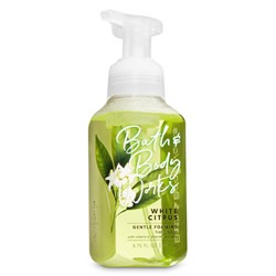 White Citrus


Gentle Foaming Hand Soap