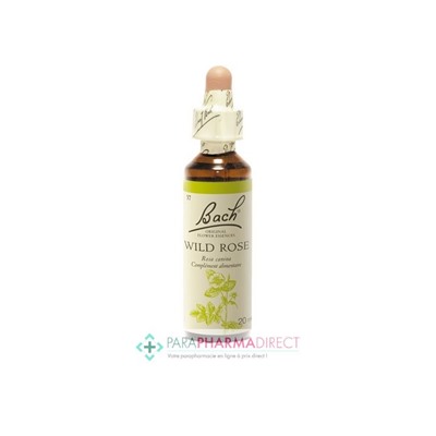 Fleurs de Bach Wild Rose (églantier) Dynamisme 20ml