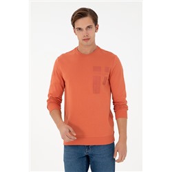 Erkek Tarçın Sweatshirt