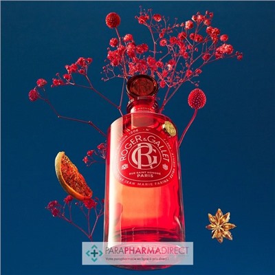 Roger & Gallet - Coffret Noël Bienfaisant Jean Marie Farina (Eau Parfumée 100ml + Savon 100g)