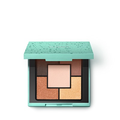 energy shake ginseng eyeshadow palette