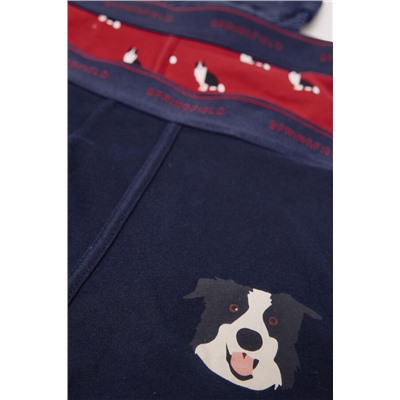 Pack 5 boxers algodón estampados