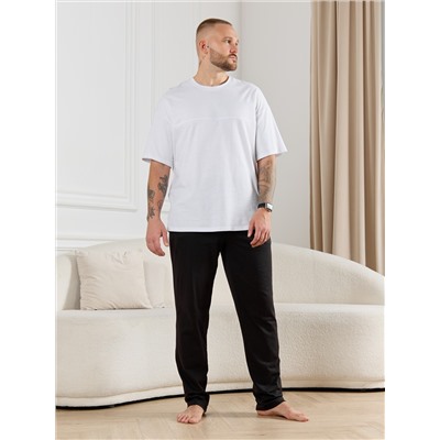 Брюки мужские Тор-3