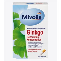 Ginkgo Gedächtnis + Konzentration Kapseln, 40 St., 20 g