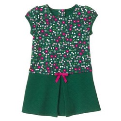 Floral Pleat Dress