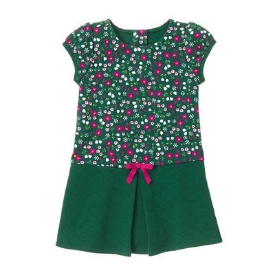 Floral Pleat Dress