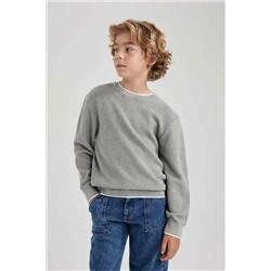 Defacto Erkek Çocuk Regular Fit Bisiklet Yaka Pamuklu Kazak U8991A623WN