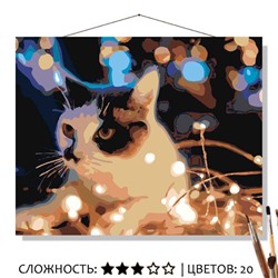 «КОТ В ГИРЛЯНДЕ»
