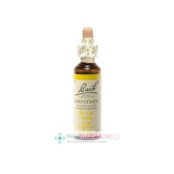Fleurs de Bach Gentian (gentiane) Optimisme et persévérance 20ml