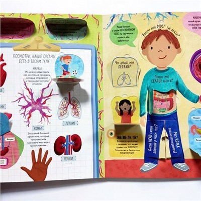 Развивающая книга "Тело человека" с окошками