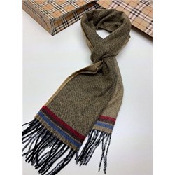 Шарф мужской (180*35 см.) арт. 240128