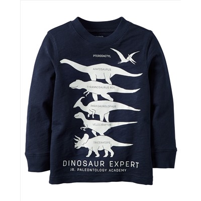 Long-Sleeve Glow-In-The-Dark Dinosaur Expert Graphic Tee