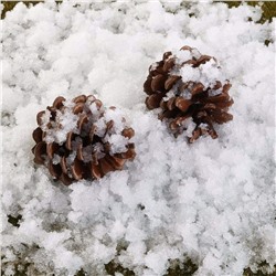 BraveWind 10 Packs Artificial Snow Powder Magic Instant Snow Simulation Snow Absorbent Polymer Fluffy Snow Christmas Wedding Decor Prop