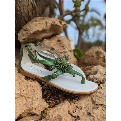 ZAPATOS 2726TG MANZANA+CINTURON BOLSOS (110)-6 (1) АКЦИЯ