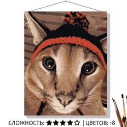 «ФЛОППА В ШАПКЕ»