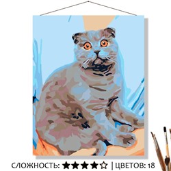 «КОТИК НА РУЧКАХ»