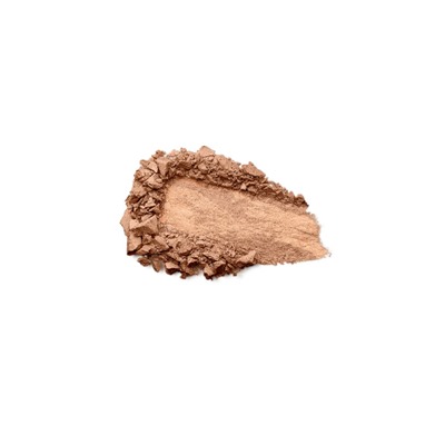 holiday première enchanting duo bronzer