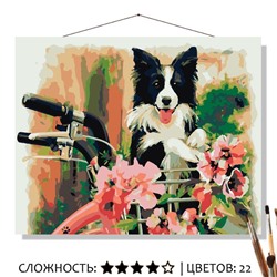 «ПОЕХАЛИ»