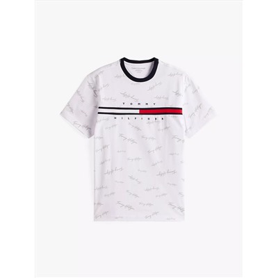 Signature Flag Stripe Logo T-Shirt