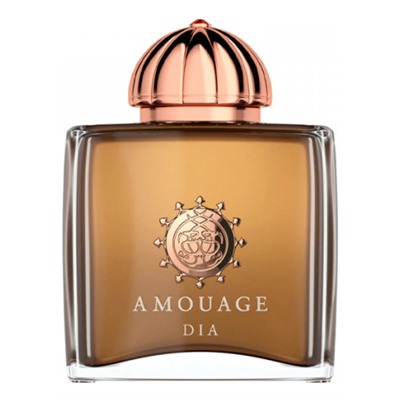 AMOUAGE DIA edp (w) 100ml