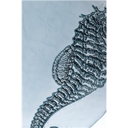 Marine Pasta Tabağı - Sarı