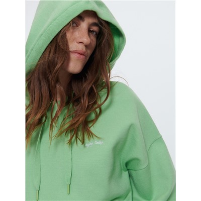 Pullover mit Reißverschluss und Kapuze