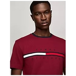 Embroidered Flag Logo T-Shirt
